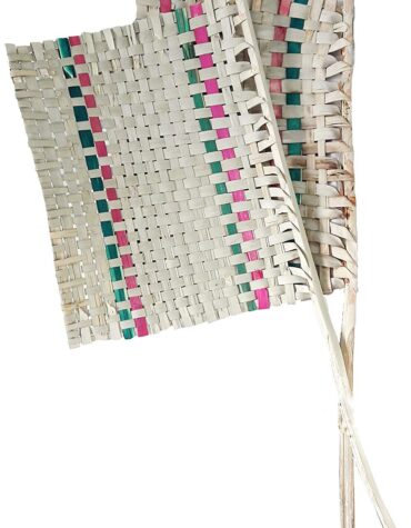 GT Gloptook Hand Crafted Rare Natural Hand Fan || PANKHI (Set of 2)